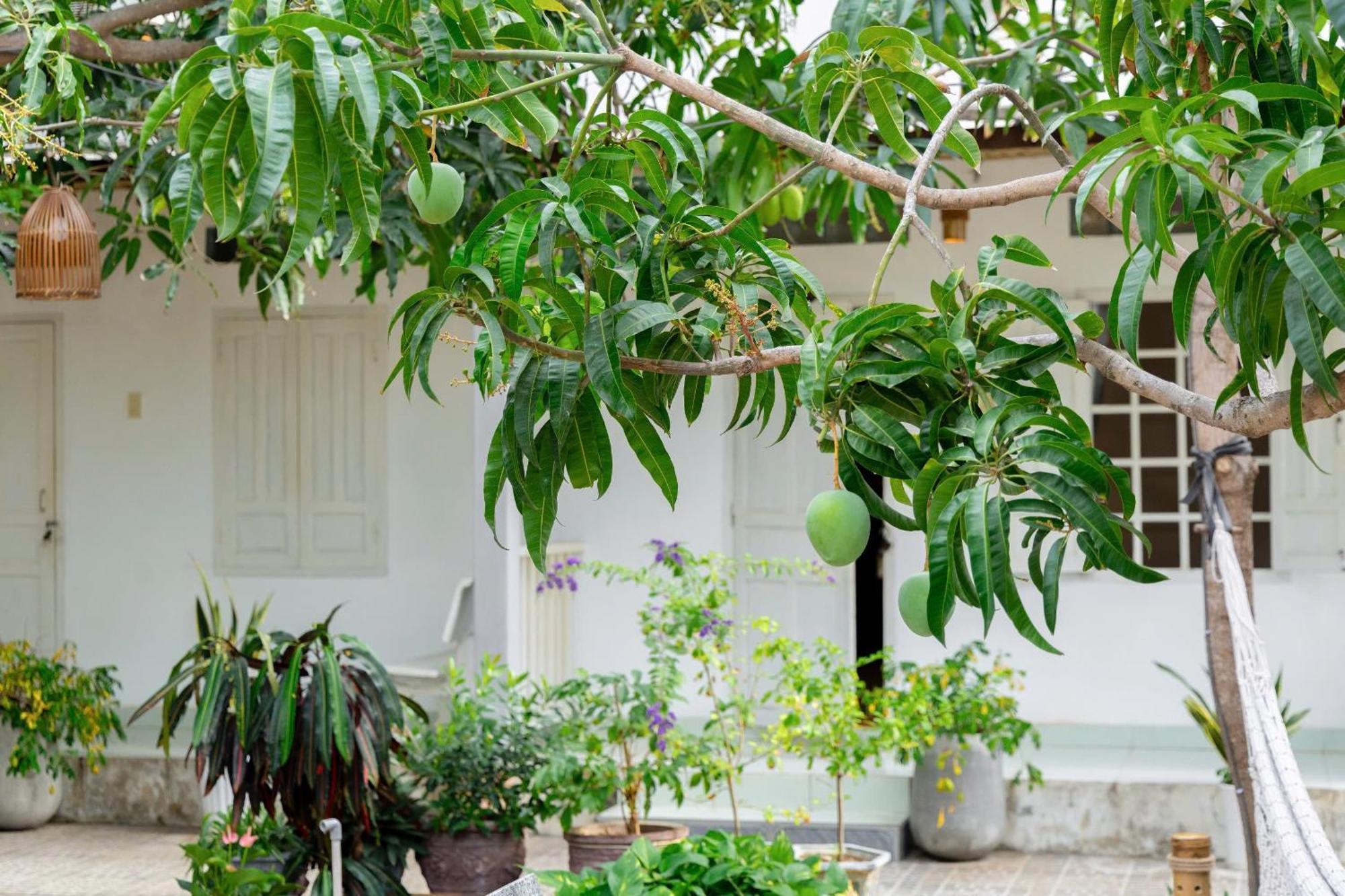 Binhyen Homestay Mui Ne Esterno foto